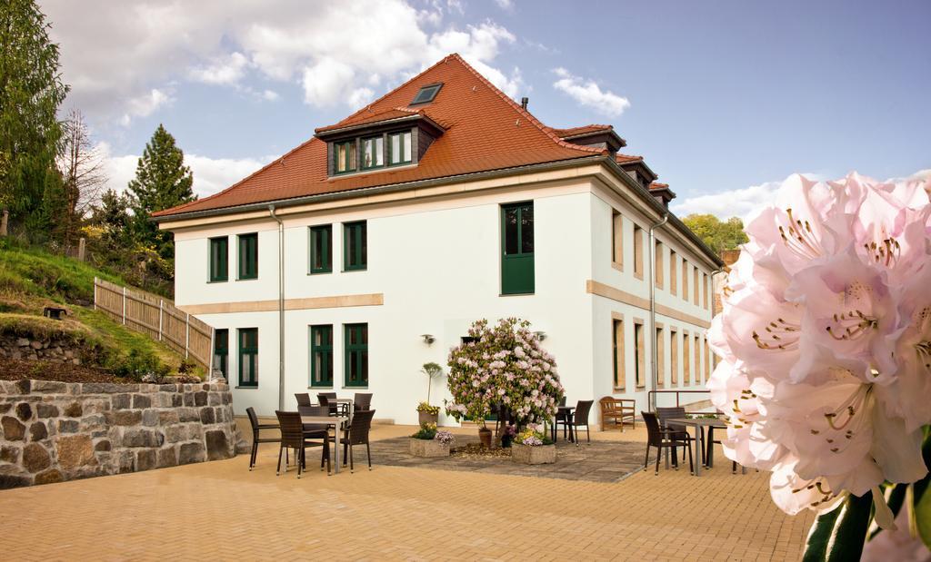 Pension Am Finkenberg Sebnitz Kamer foto