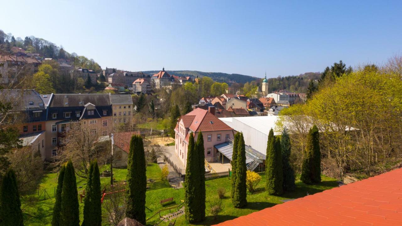 Pension Am Finkenberg Sebnitz Buitenkant foto